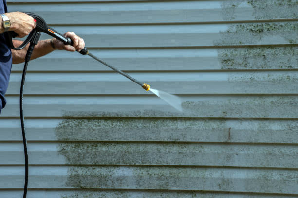 Best Sidewalk and Walkway Cleaning  in Holly Springs, MS